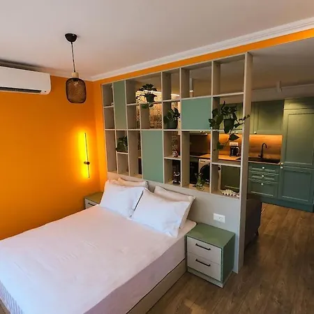 Flower 3 公寓 地拉那